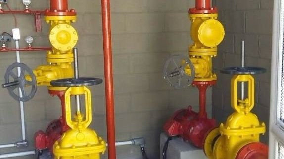 WhatsApp Image 2025-03-19 at 15.35.51