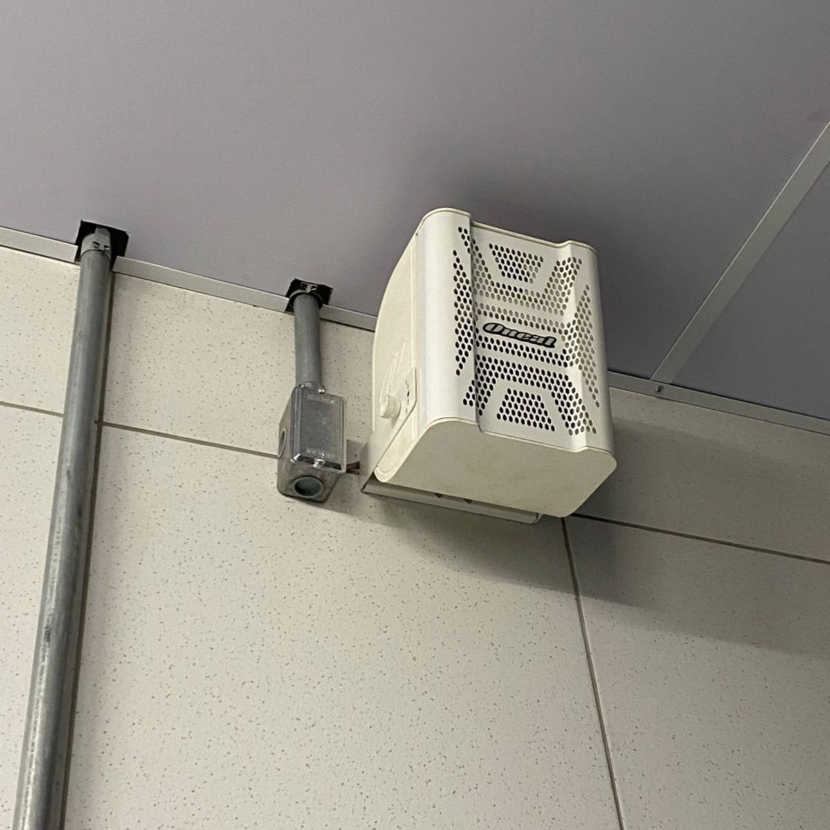 WhatsApp Image 2025-03-19 at 15.41.59